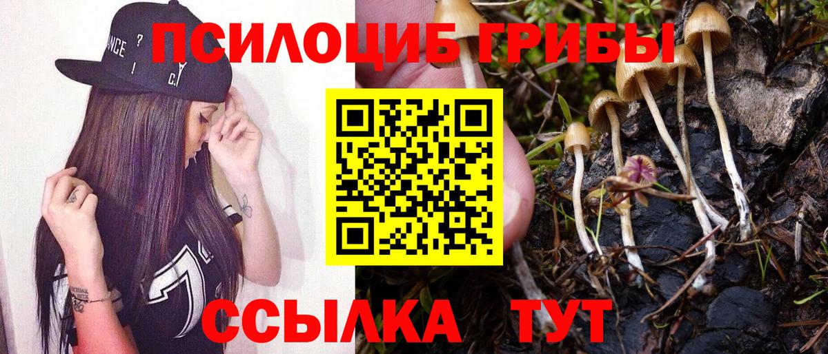 Галлюциногенные грибы GOLDEN TEACHER  Галлюциногенные грибы мухоморы  Чистополь  Вход с VPN 