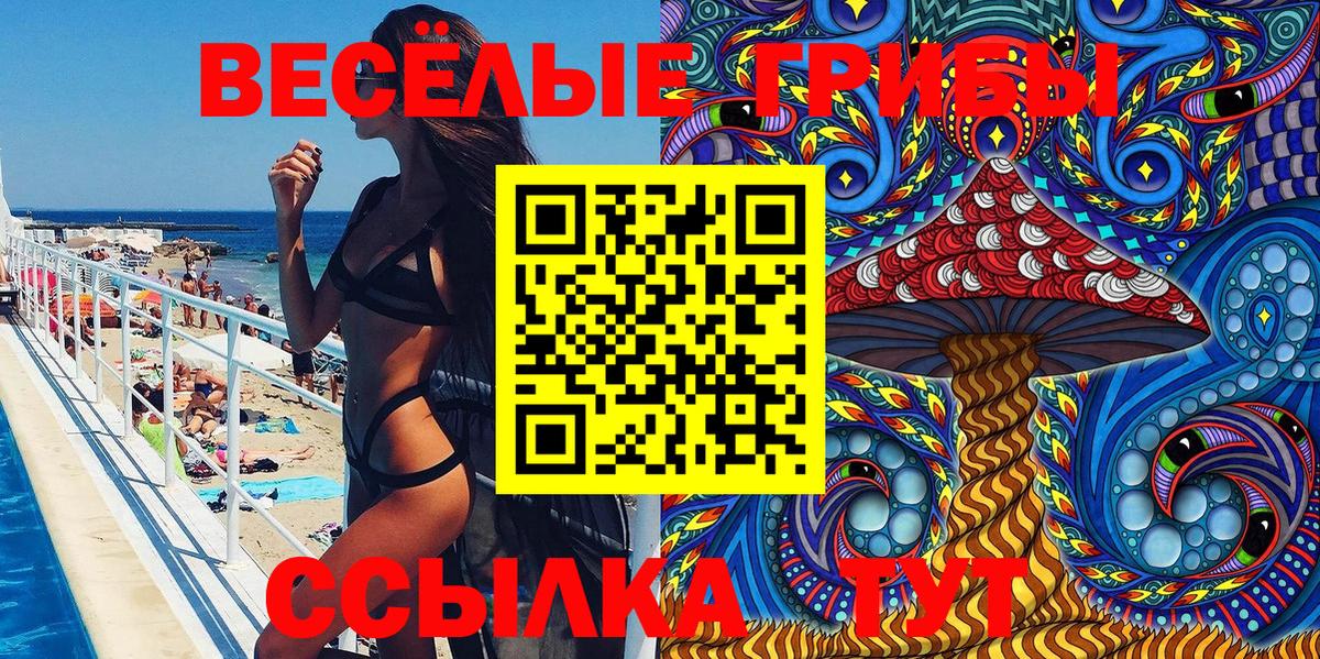 Галлюциногенные грибы Psilocybe Чистополь